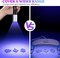 LET'S RESIN UV Light for Resin Curing, Portable Mini 365nm UV Flashlight Black Light, Faster Cure LED Waterproof UV Lamp Rechargeable for Resin Molds, Pet Urine, Dry Stains, Bed Bug